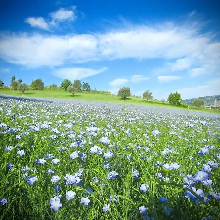 Bright In - 75 M² - Shared Pool Appartamento *