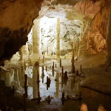 Bright In - 75 M² - Shared Pool